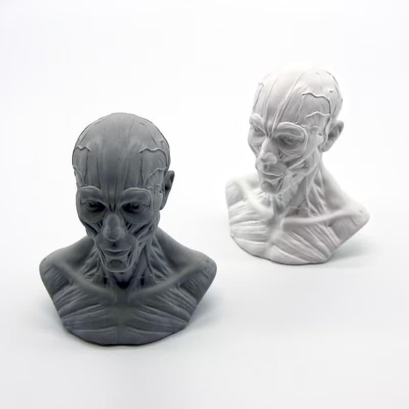 HUMAN muscles Aroma stone I 人體筋肉擴香石 I 手作 I 附精油－