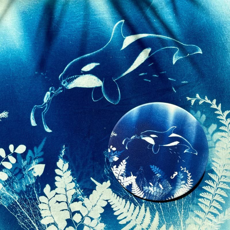 【藍海潛尋】印刷藍曬-海洋生物/大翅鯨/潛水/吸水杯墊