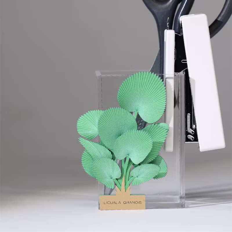 【立體植物貼紙】 圓葉刺軸櫚 (605019) FingerART紙雕紙藝術