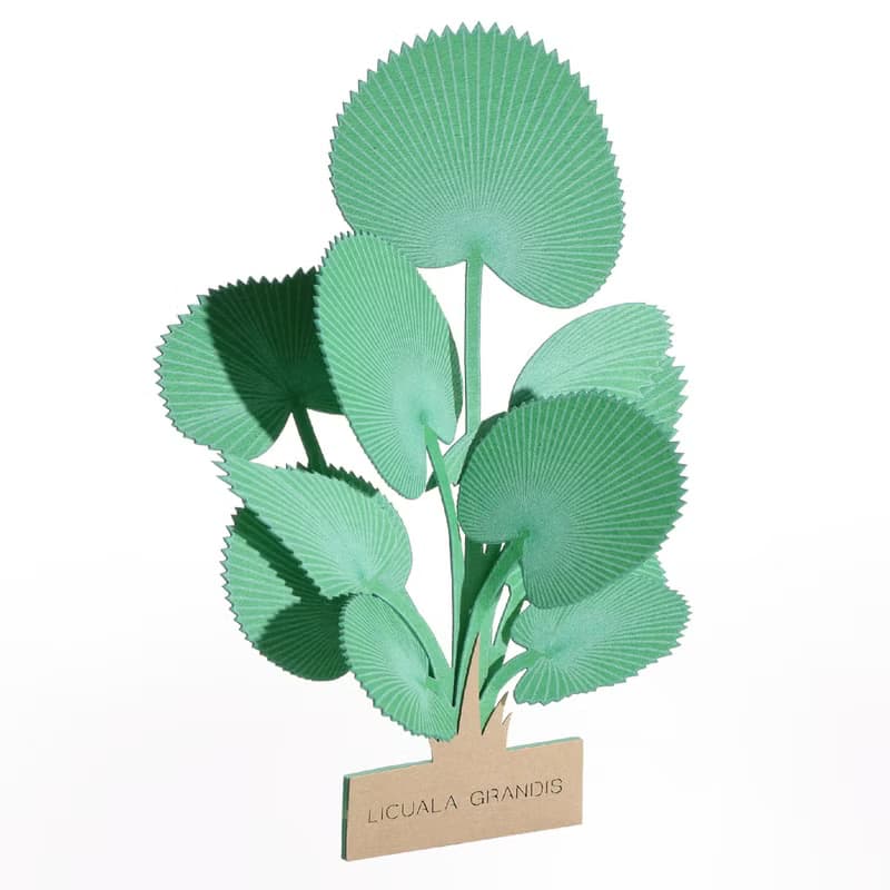 【立體植物貼紙】 圓葉刺軸櫚 (605019) FingerART紙雕紙藝術