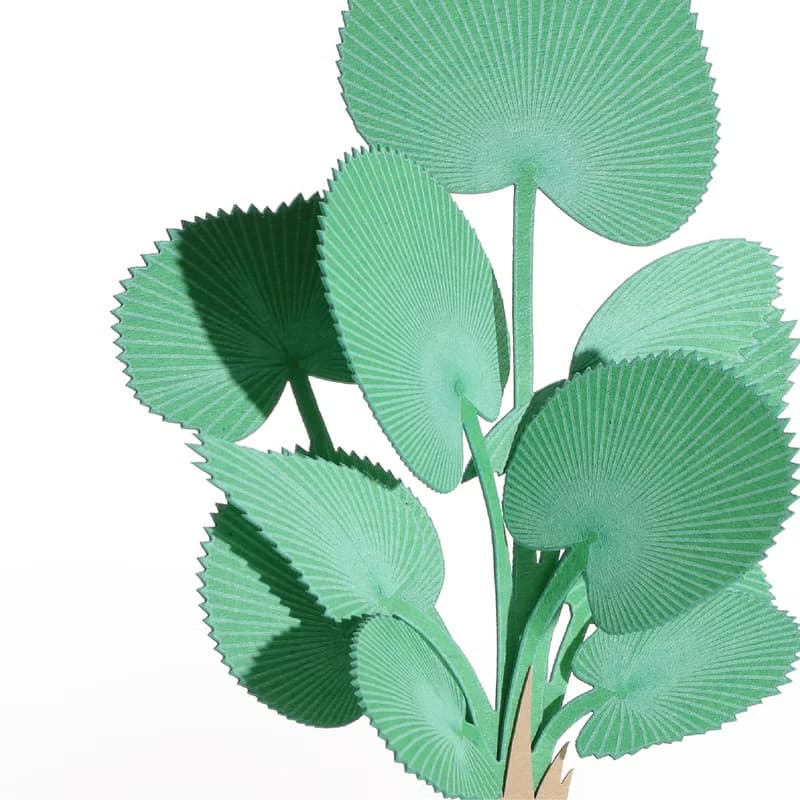 【立體植物貼紙】 圓葉刺軸櫚 (605019) FingerART紙雕紙藝術