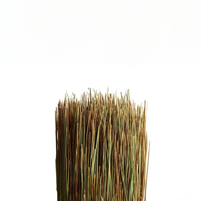 【純淨天然】原生藺草束GrassObject 淨化空氣 消除臭味 室內花藝