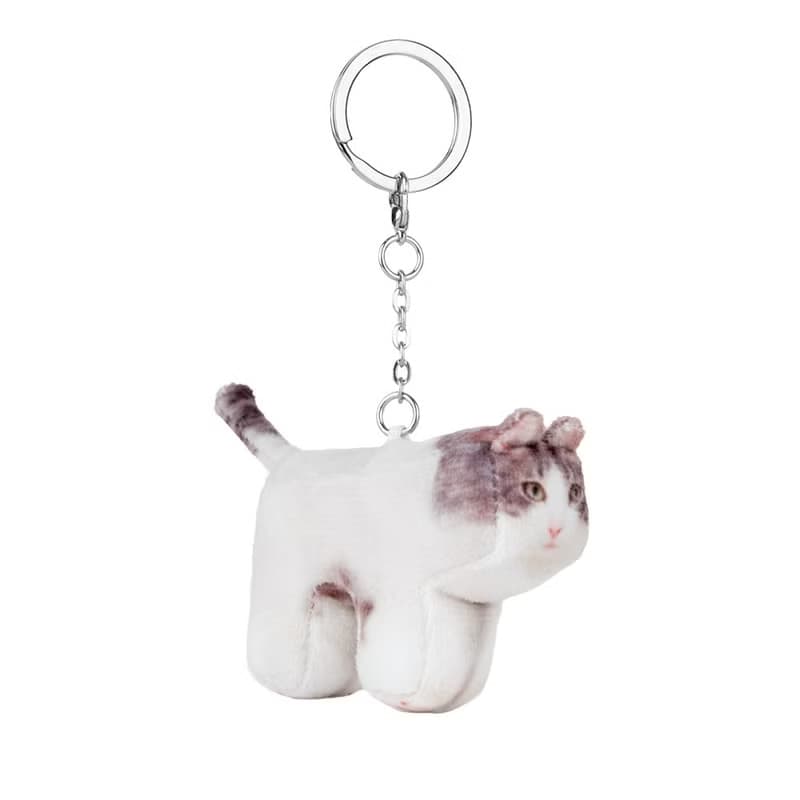 Milk, Domestic Shorthair