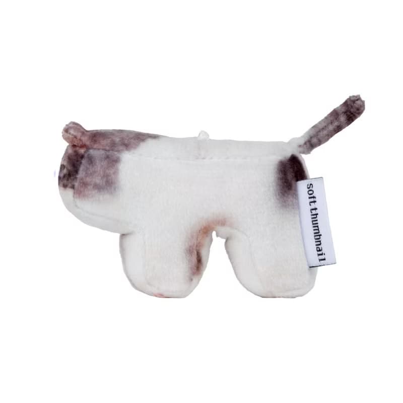 Milk, Domestic Shorthair