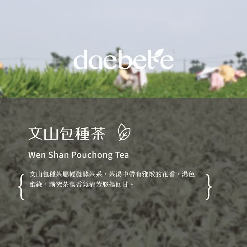 【daebete】文山包種茶輕巧盒 手工摘採 (6g*5包)│快速出貨
