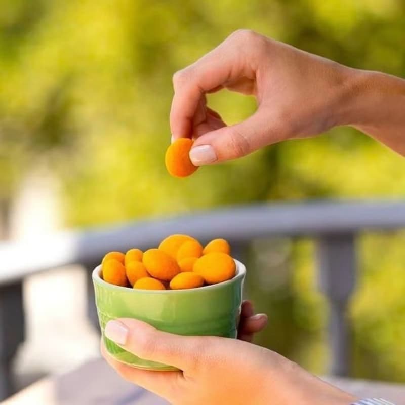 CATÀNIES CUDIÉ 卡塔尼斯 酷迪耶 杏仁法式布丁巧