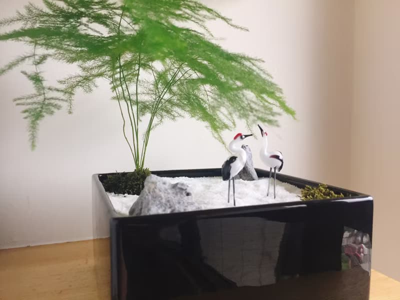 純自然 日式禪庭盆栽 禪 紅頂鶴 枯山水 植物  盆栽 zen