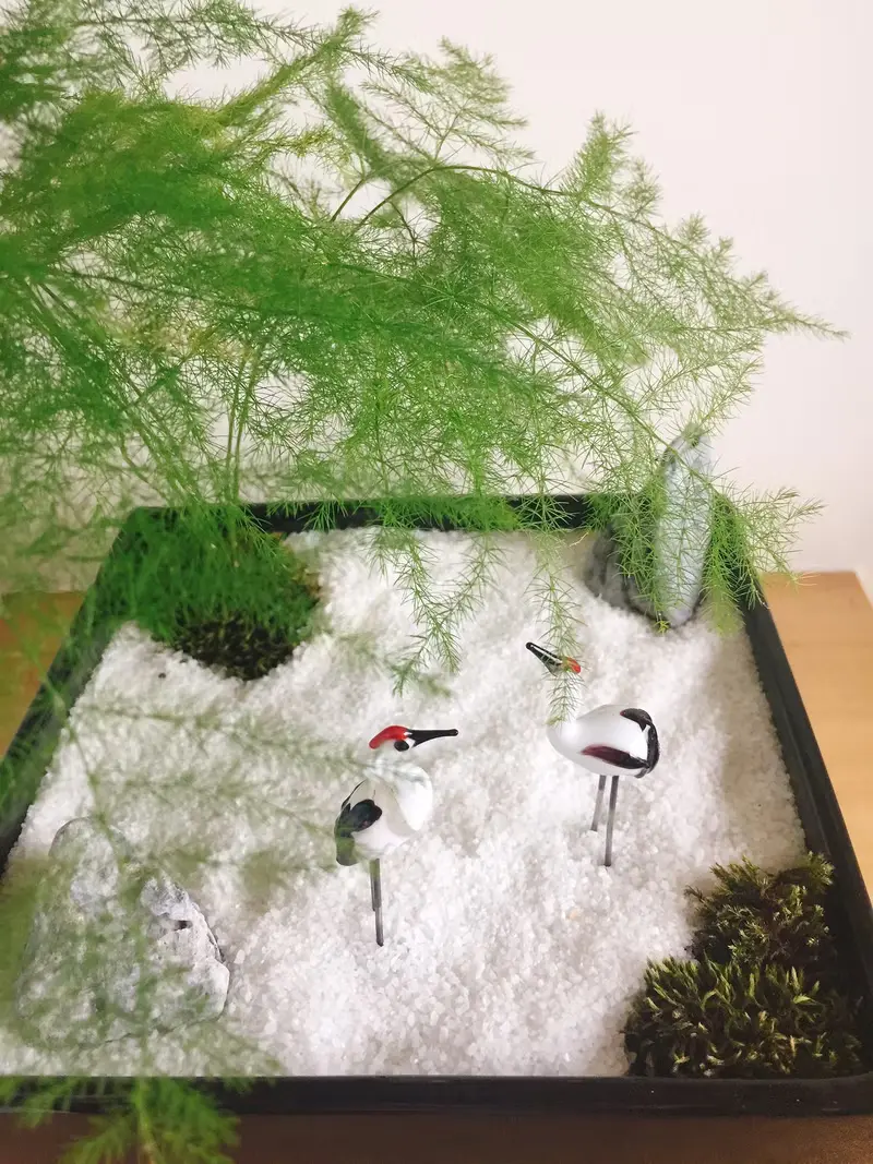 純自然 日式禪庭盆栽 禪 紅頂鶴 枯山水 植物  盆栽 zen