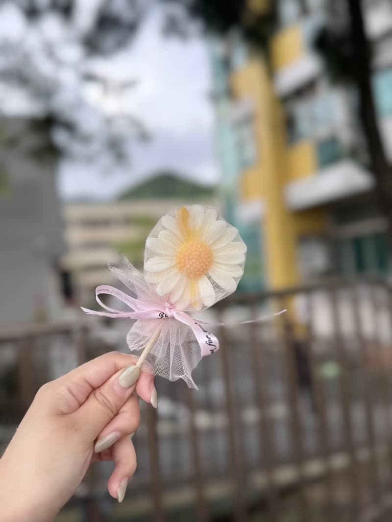 畢業雛菊擴香香氛蠟燭