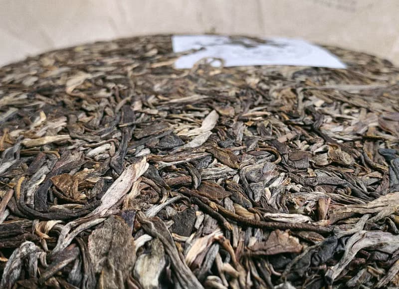 2019年 喬木生普洱 春茶茶餅 357g 煙燻蘭花香 茶氣強