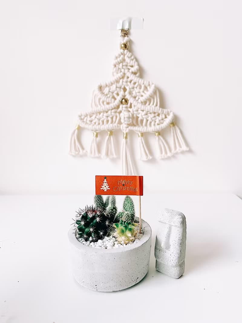 圓盆小森林-多肉植物組合水泥盆栽 送摩艾公仔.