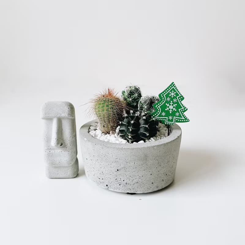 圓盆小森林-多肉植物組合水泥盆栽 送摩艾公仔.