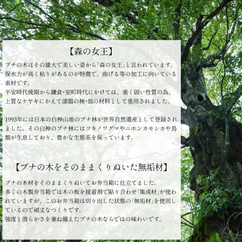 天然櫸木製 動物形狀便當盒 300ml / 小狗、貓咪、小熊三款