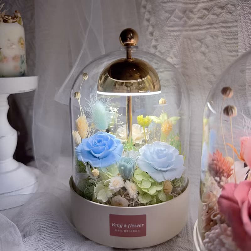 FengFlower 【永生風鈴檯燈花】乾燥花/永生花/送禮