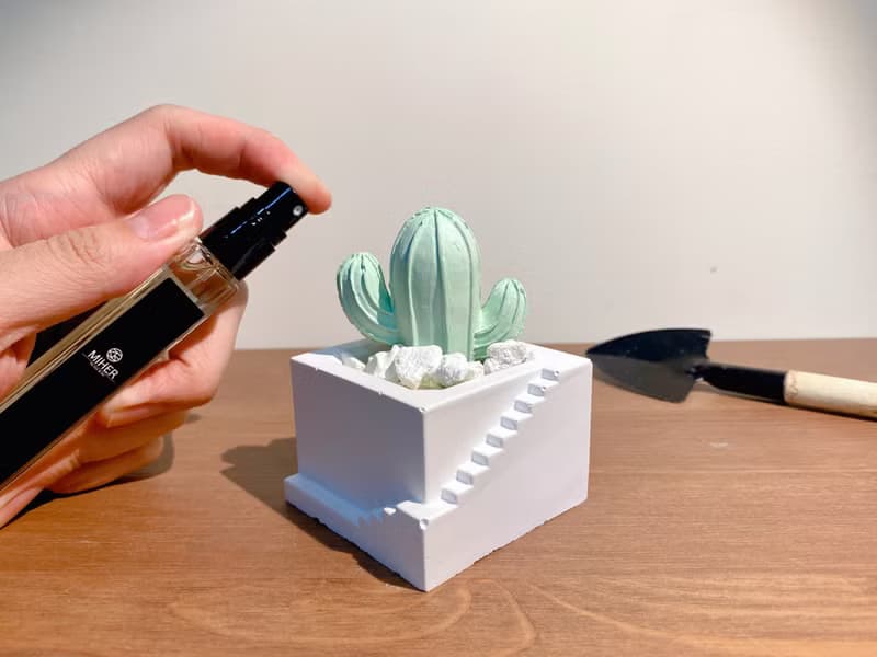 仙人掌擴香石組合包