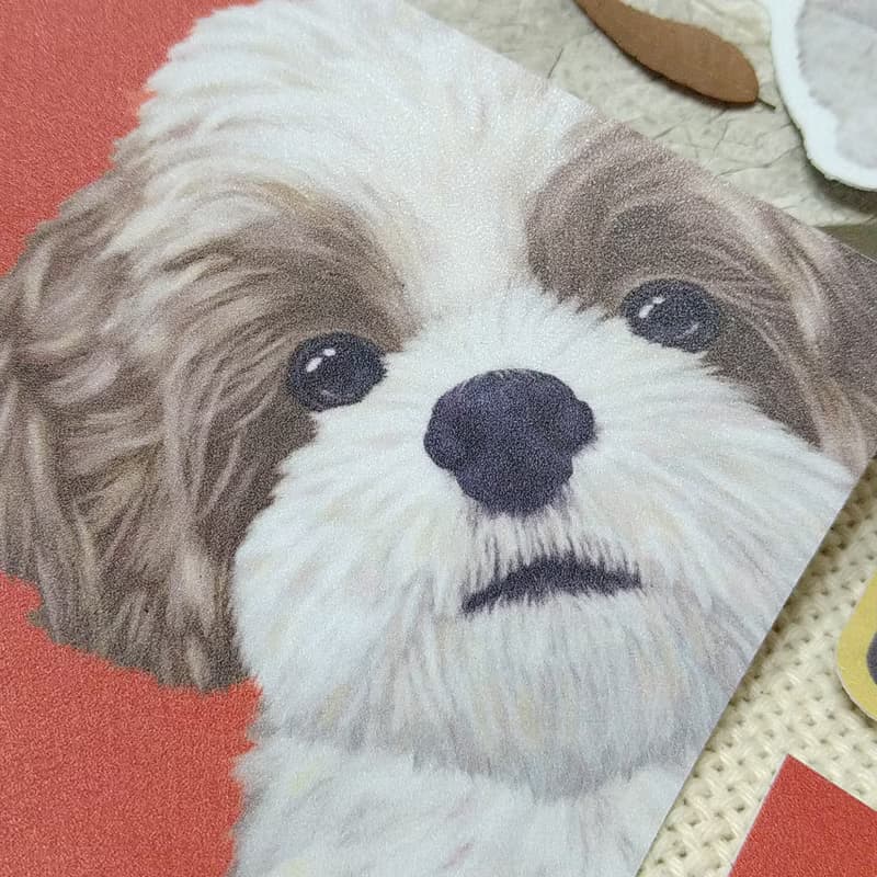 西施犬(斗斗)-春聯-防水貼紙~利是封-揮春-福貼-車貼-行李箱貼