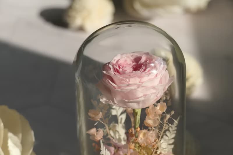 Rosemary小小花園玻璃罩  永生花/情人節/生日/畢業/禮物