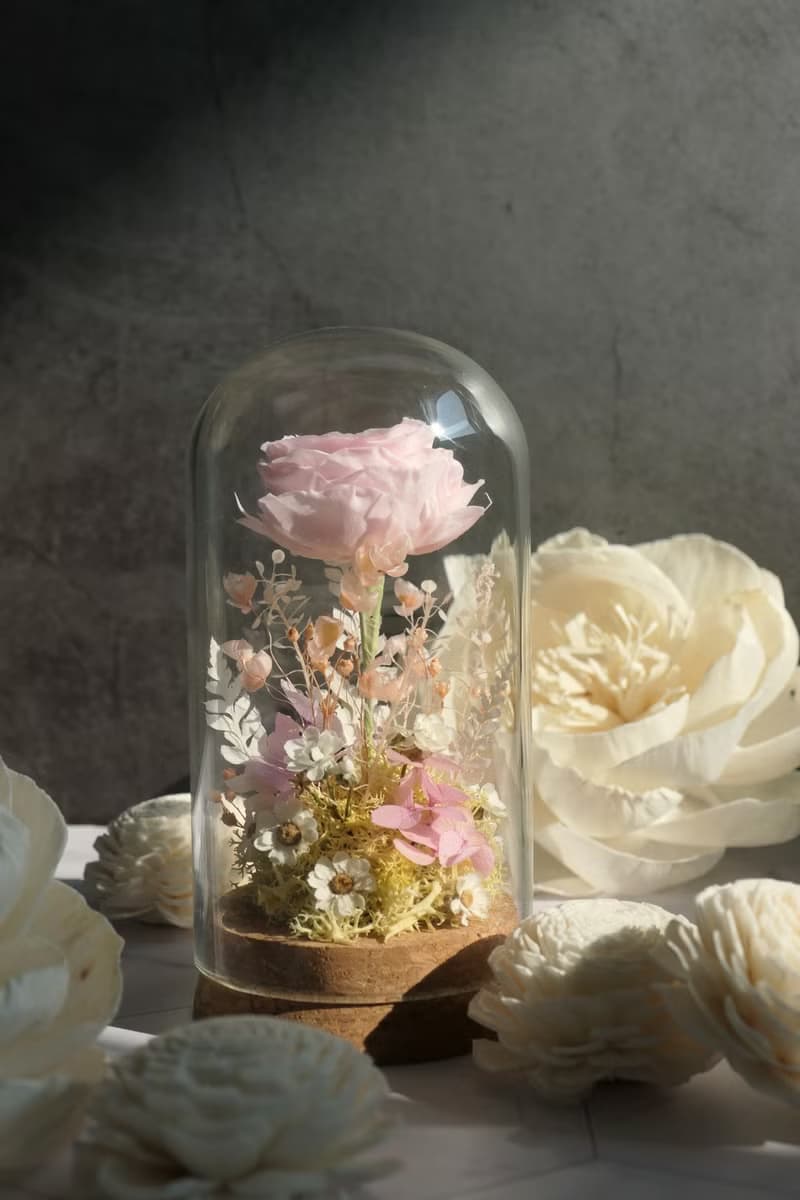 Rosemary小小花園玻璃罩  永生花/情人節/生日/畢業/禮物