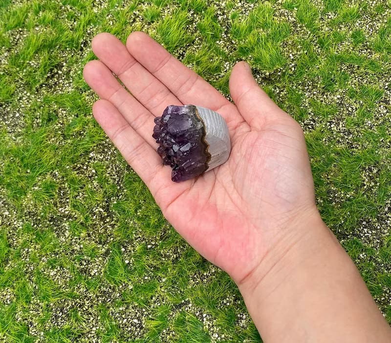 天然紫晶鎮 紫水晶// 招財 療癒// 消磁淨化 辦公室開運 增智慧