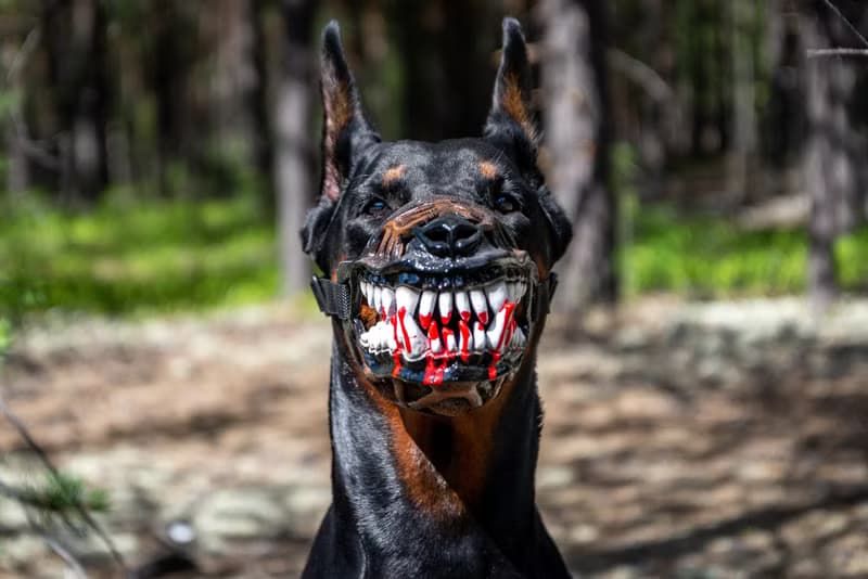 Werewolf Dog muzzle Scary Doberman muzzles Pet Gift Halloween Costume Dog Mask