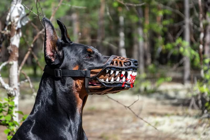 Werewolf Dog muzzle Scary Doberman muzzles Pet Gift Halloween Costume Dog Mask