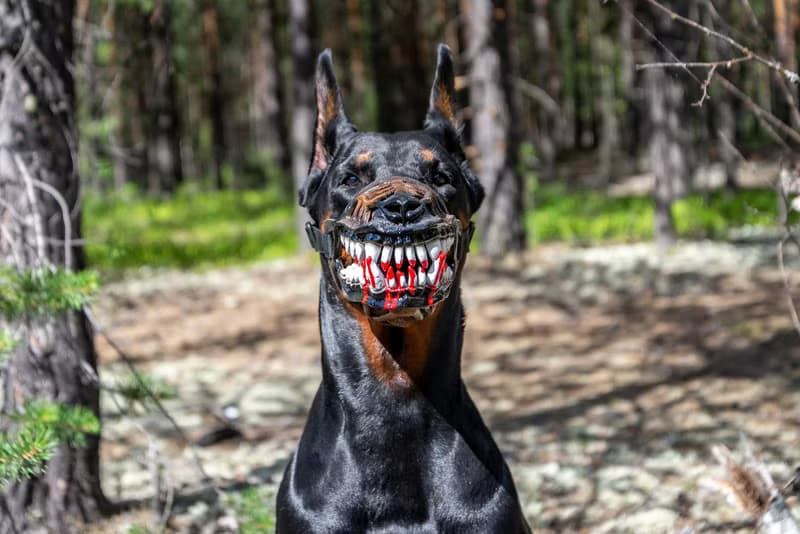 Werewolf Dog muzzle Scary Doberman muzzles Pet Gift Halloween Costume Dog Mask