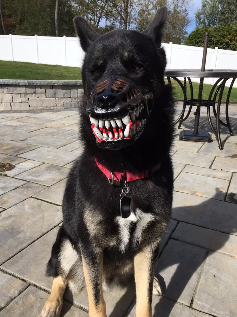 Werewolf Dog muzzle Scary Doberman muzzles Pet Gift Halloween Costume Dog Mask