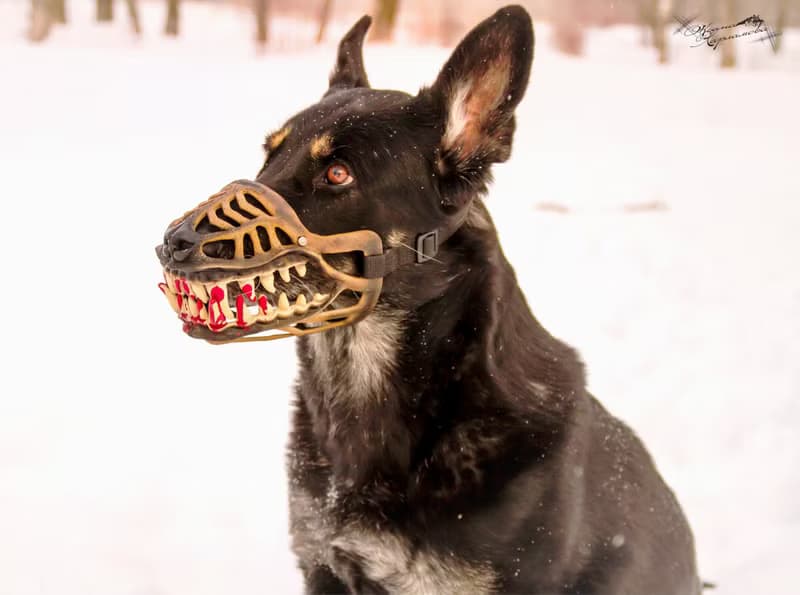 Werewolf Dog muzzle Scary Doberman muzzles Pet Gift Halloween Costume Dog Mask