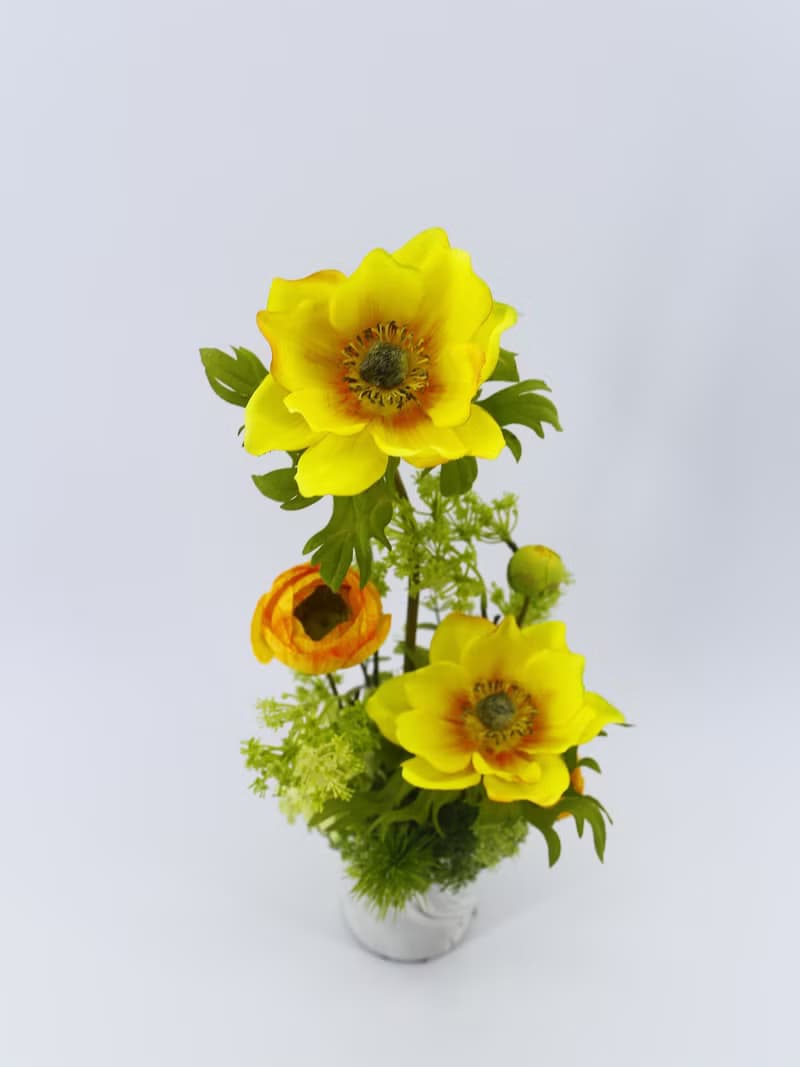 露營風日光綻放陸蓮香氛花禮/入厝禮/開幕/喬遷/送禮/植栽