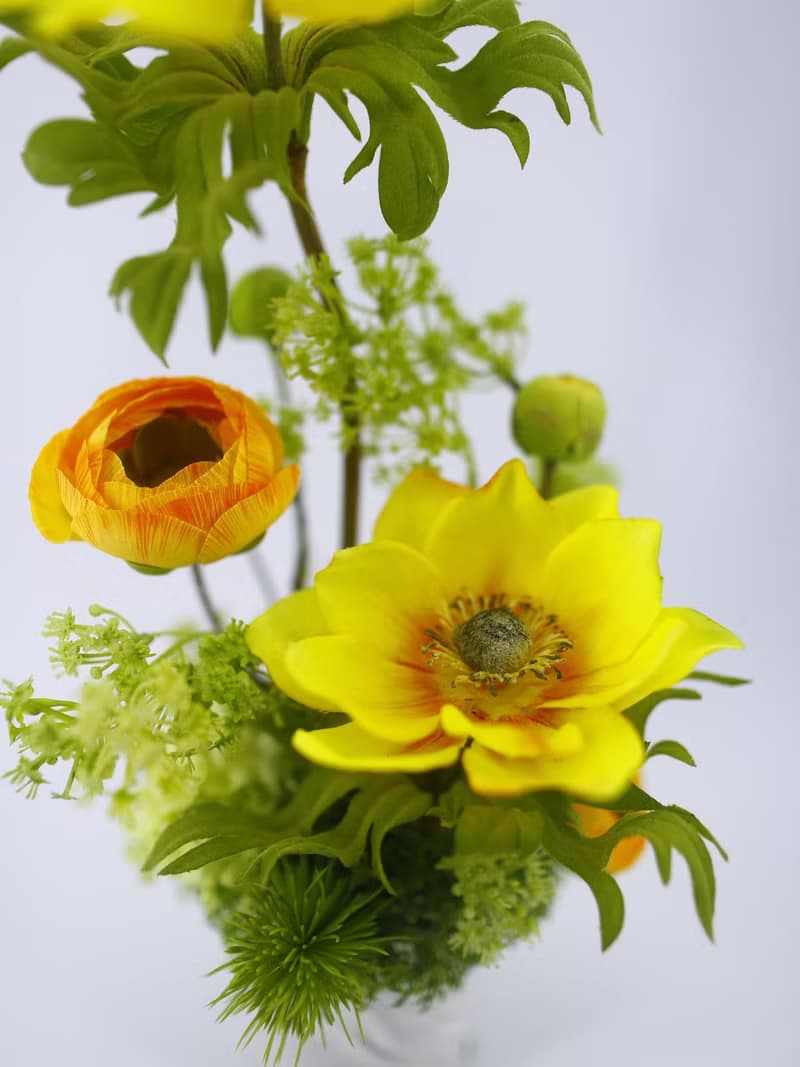 露營風日光綻放陸蓮香氛花禮/入厝禮/開幕/喬遷/送禮/植栽