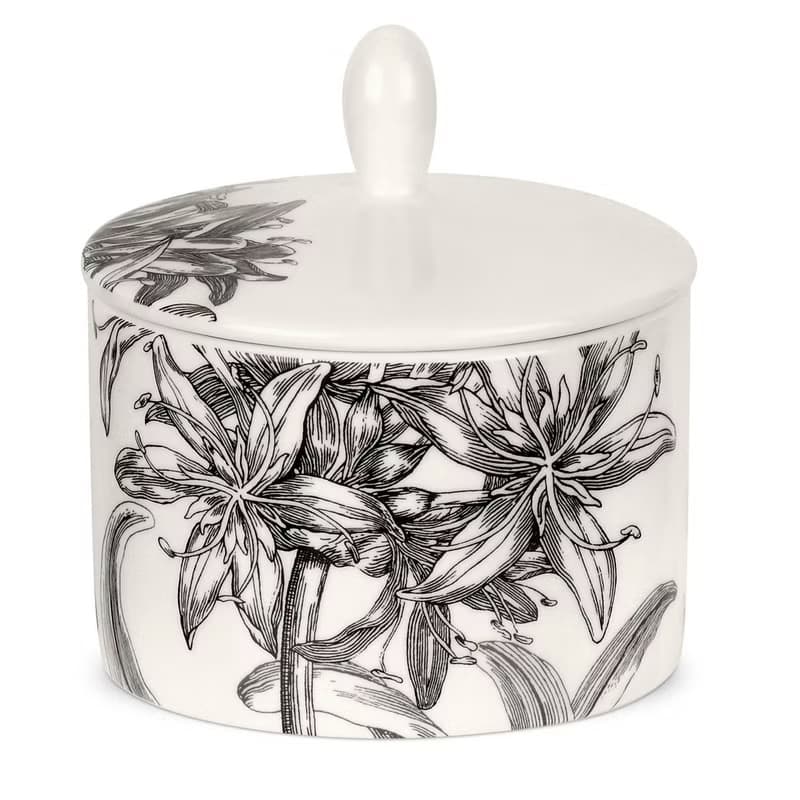 Agapanthus 優雅百子蓮系列-糖奶罐