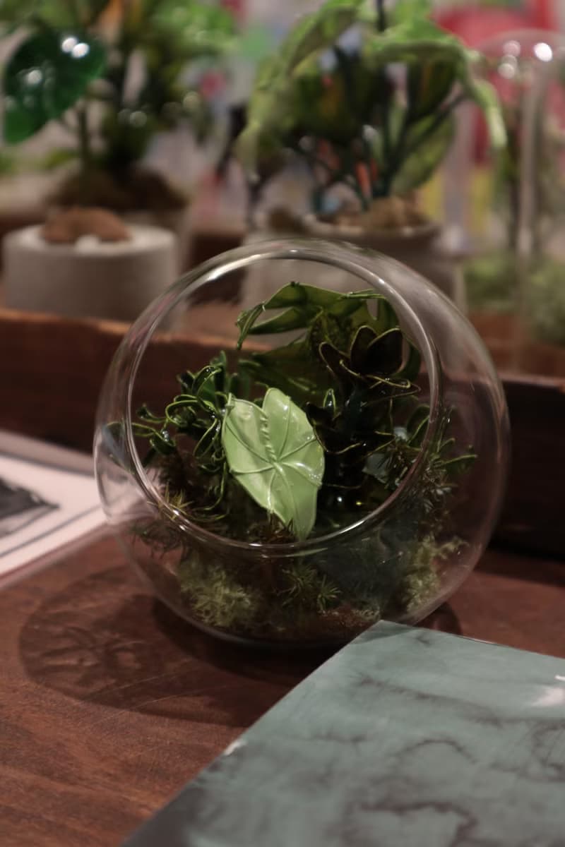 簡 掌上溫室S