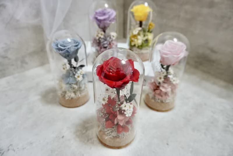 小王子永生花玻璃鐘罩 浪漫乾燥花擺飾設計