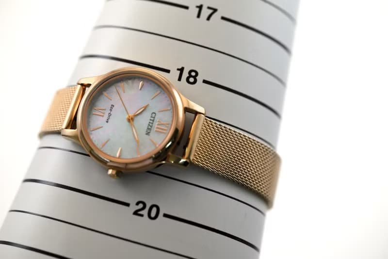 Citizen シチズン ソーラー Eco-Drive 女性用腕時計 メッシュベルト Mather of Pearl dial EM0892-80D