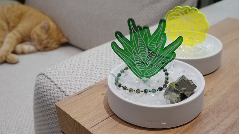 H h L【盆宅】水晶消磁淨化置物盆 | 花開富貴 (雙肉組) 01+02