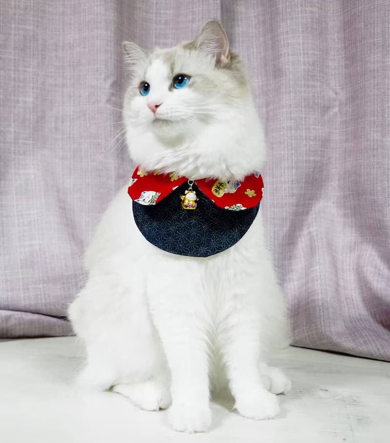 主子賣萌-萌寵招財系列-雙面領巾(招財貓)