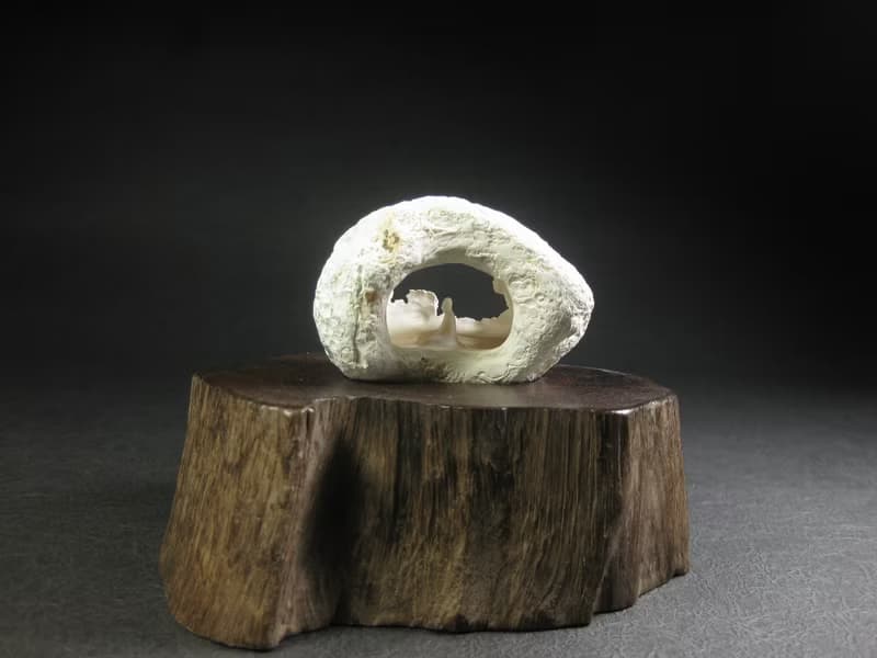 雕件 空 白皮黃玉髓/小洞窟中靜靜欣賞光與水的景致