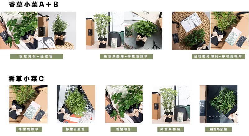 新鮮香草茶禮物組(3盆)