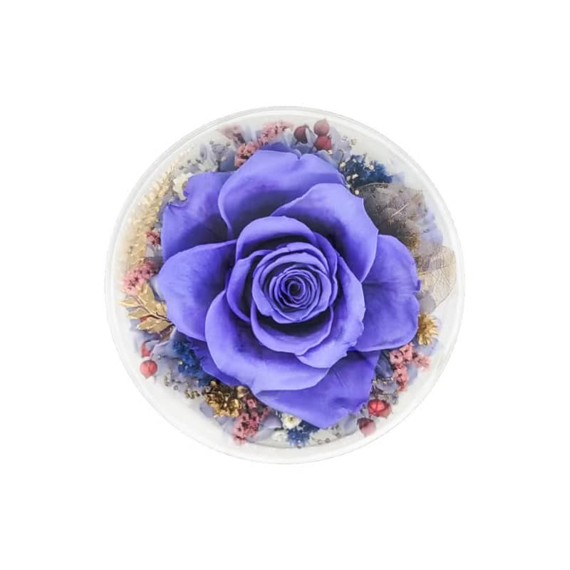 花樣時光圓舞燈 - 丁香紫