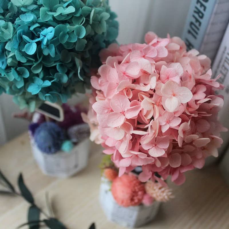 【線上DIY材料包】永生繡球樹擴香盆花