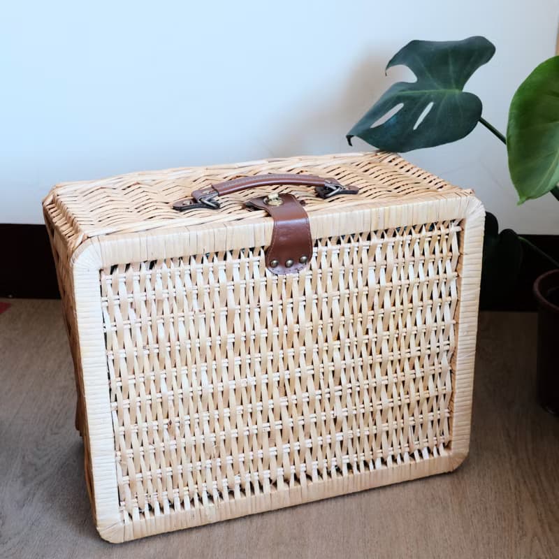 日本HUMMING BIRD藤編野餐套組