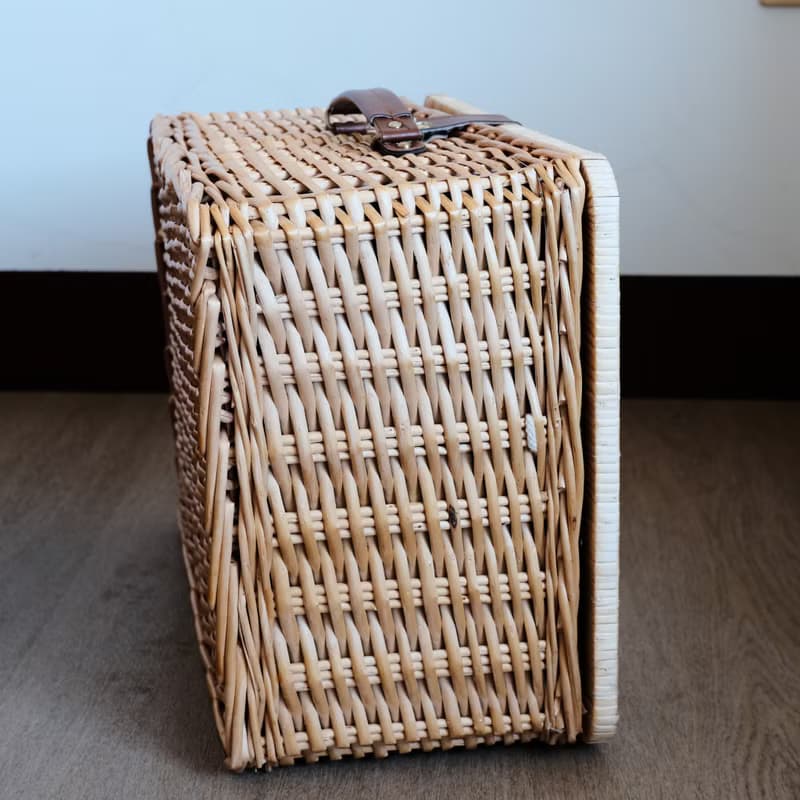 日本HUMMING BIRD藤編野餐套組