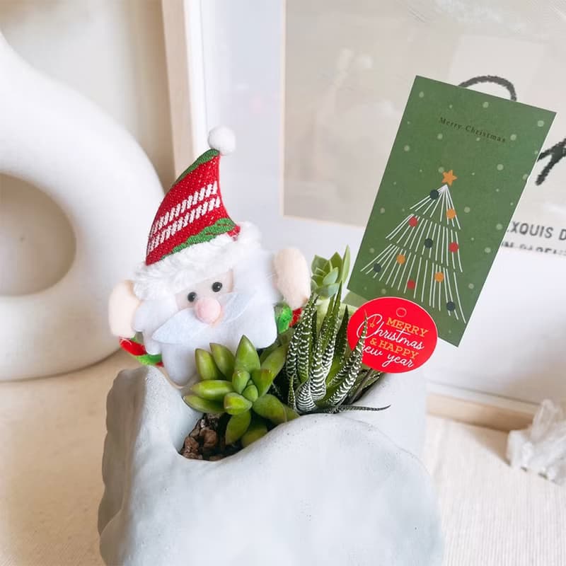 【訂製需等待】恐龍水泥盆 暴龍 三角龍 劍龍  交換禮物 聖誕禮盒