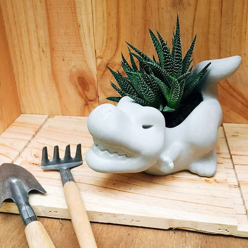 【訂製需等待】恐龍水泥盆 暴龍 三角龍 劍龍  交換禮物 聖誕禮盒