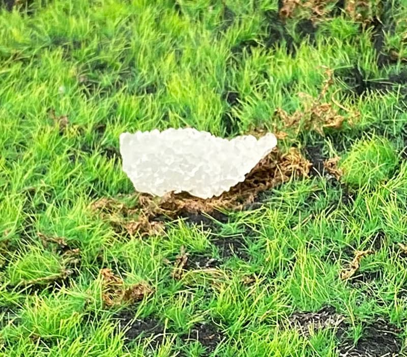 能量擺飾-天然純淨白色可愛魚眼石原礦 療癒 開運 快速出貨