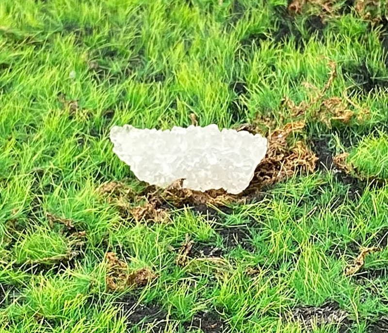 能量擺飾-天然純淨白色可愛魚眼石原礦 療癒 開運 快速出貨