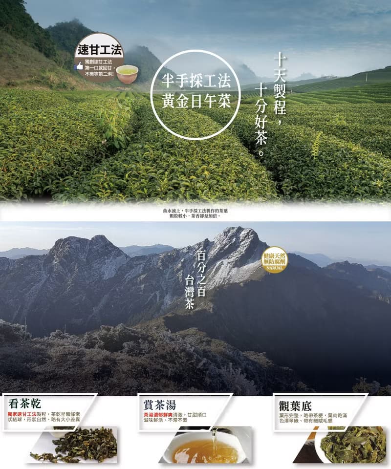 曲水流上－沐雲冠軍極品醇香高冷高山烏龍茶(150g*4件組-共1)