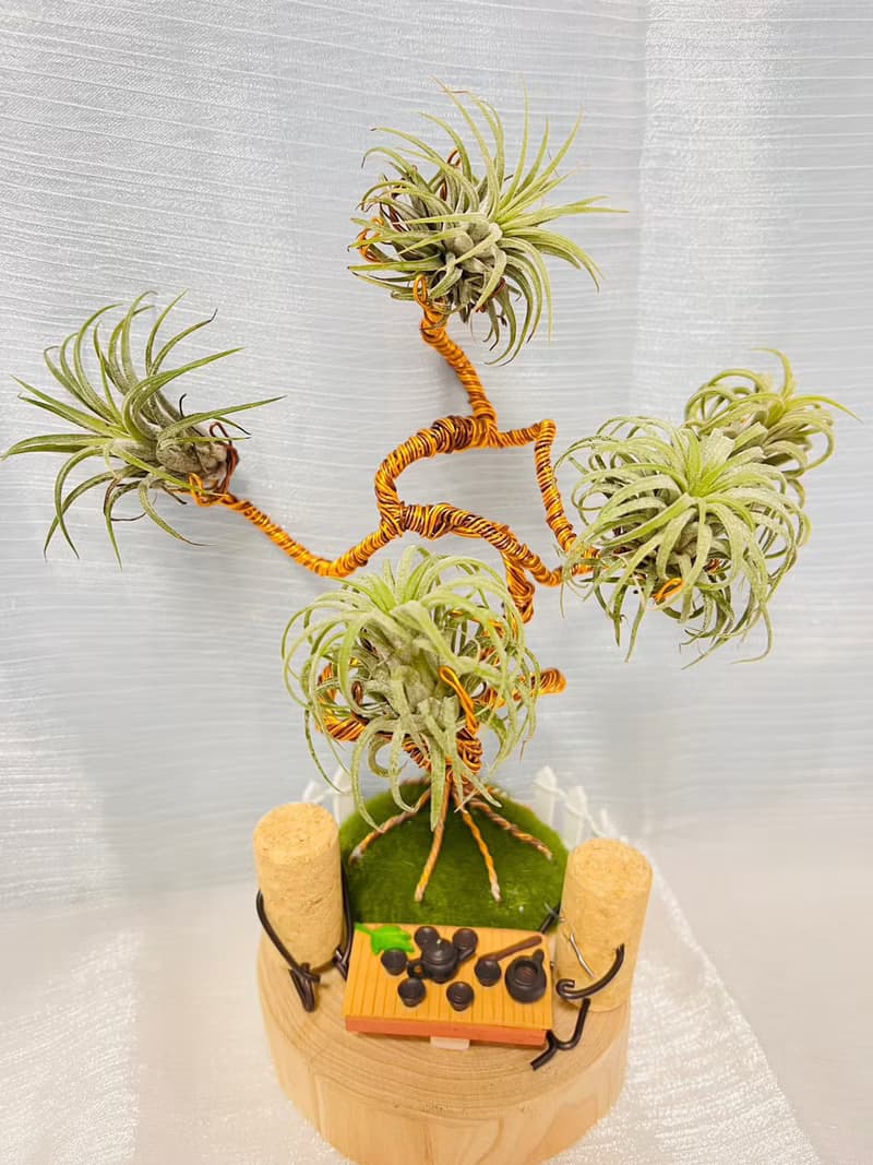 創意空鳳架  樹下泡茶款 辦公室 桌上展示架