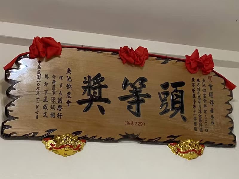【茶食本舖】日月潭 | 紅玉紅茶 | 原葉三角立體茶包10入