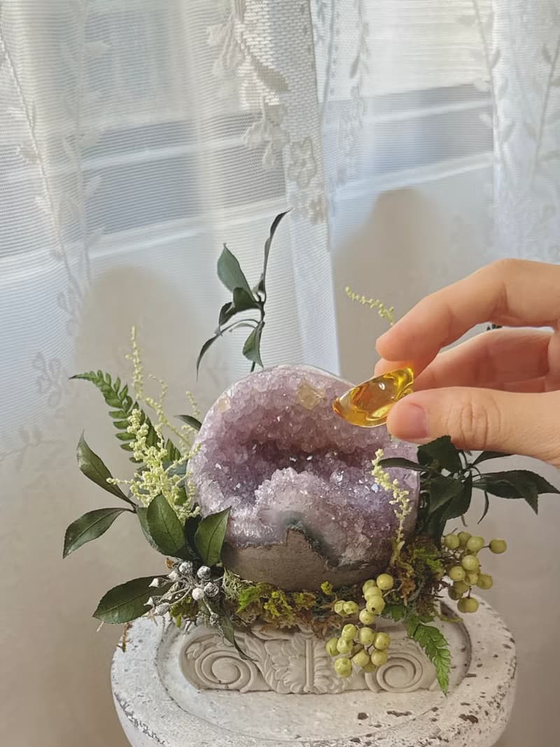 紫水晶洞 文藝復興 藏光的雕塑。不用澆水的植物 桌面小風景